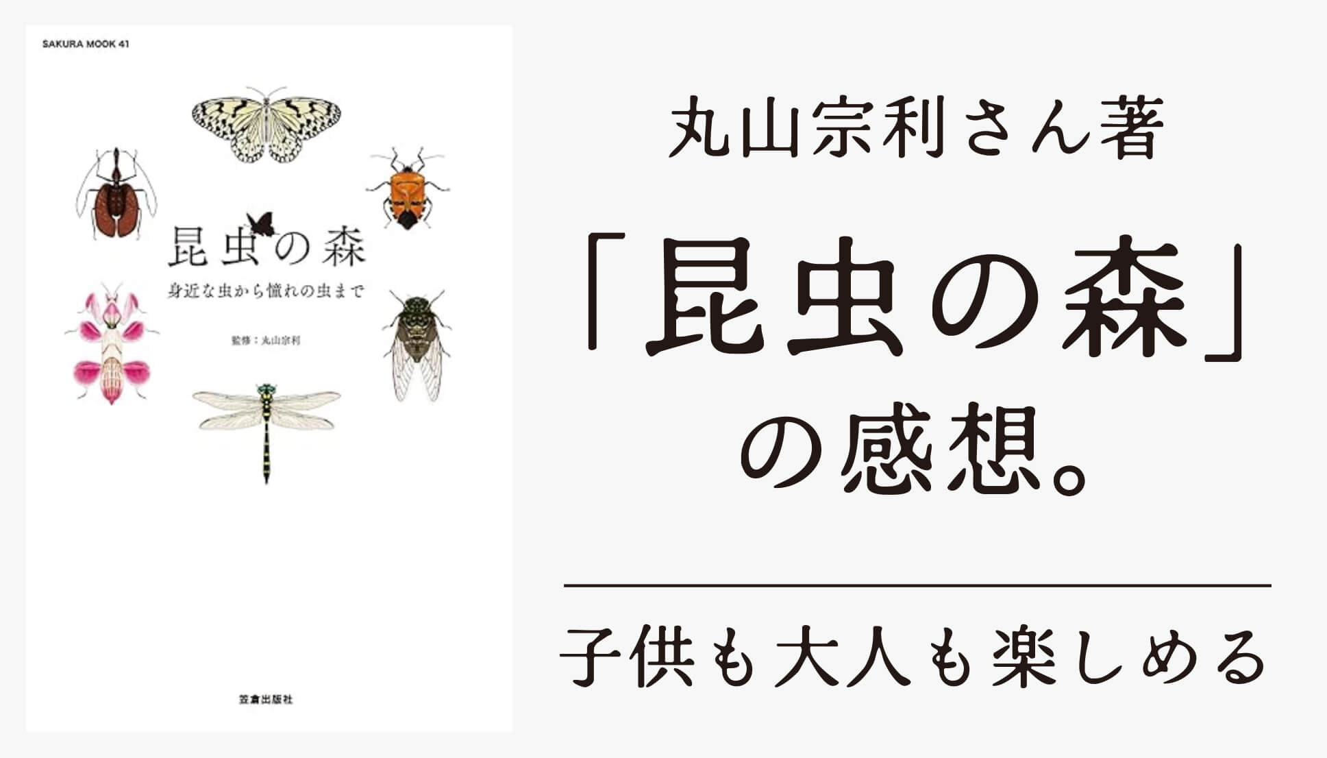 「昆虫の森」の感想。身近な虫、不思議で、美しい虫の紹介が面白い